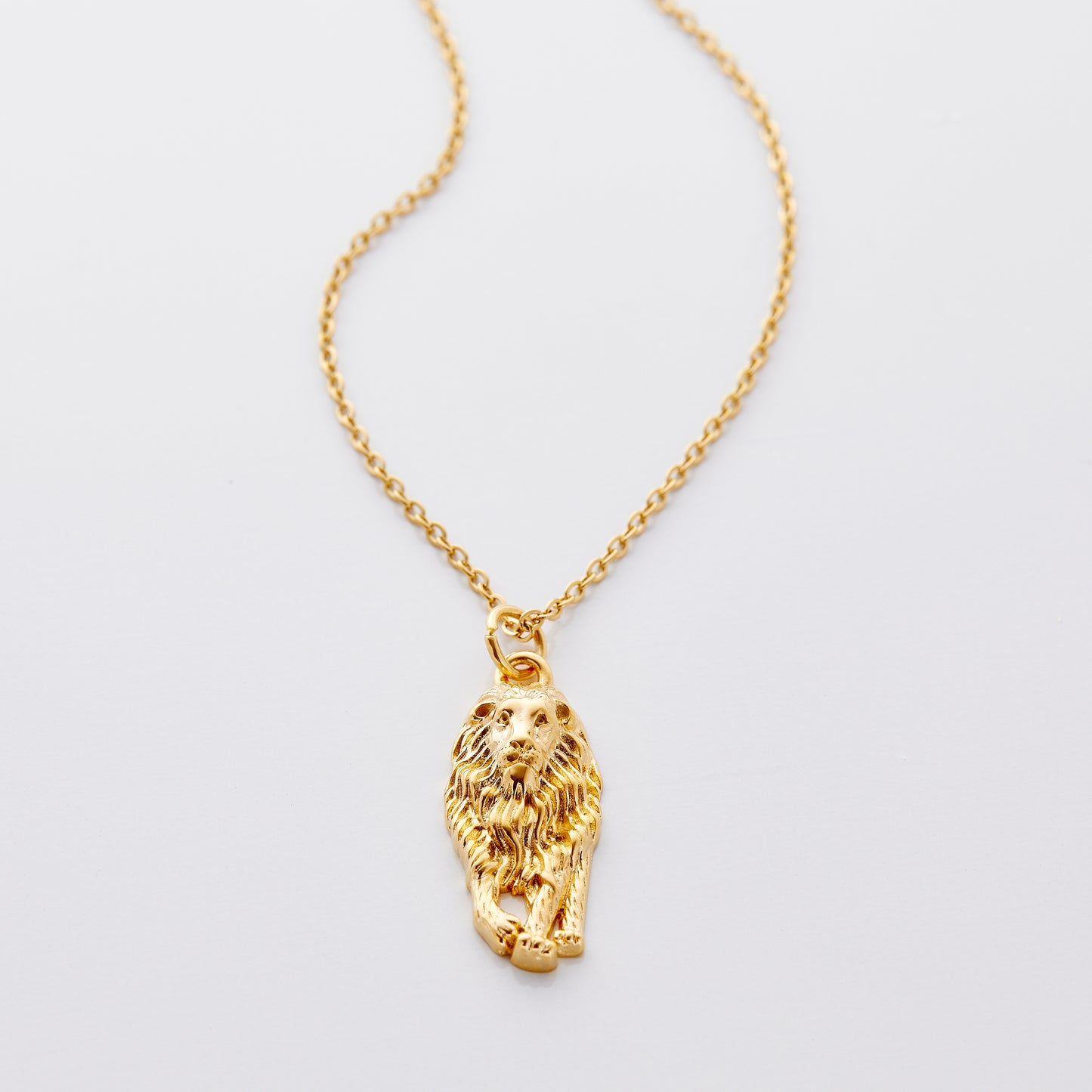 Solidarity is Power Lion Necklace